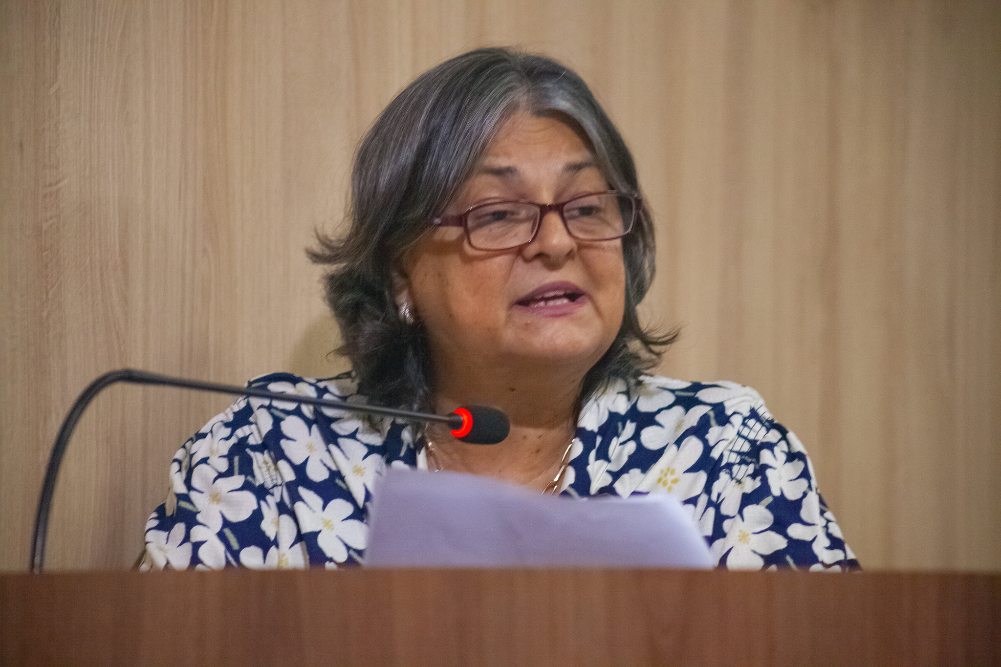 Desembargadora Luiza Cristina Marques