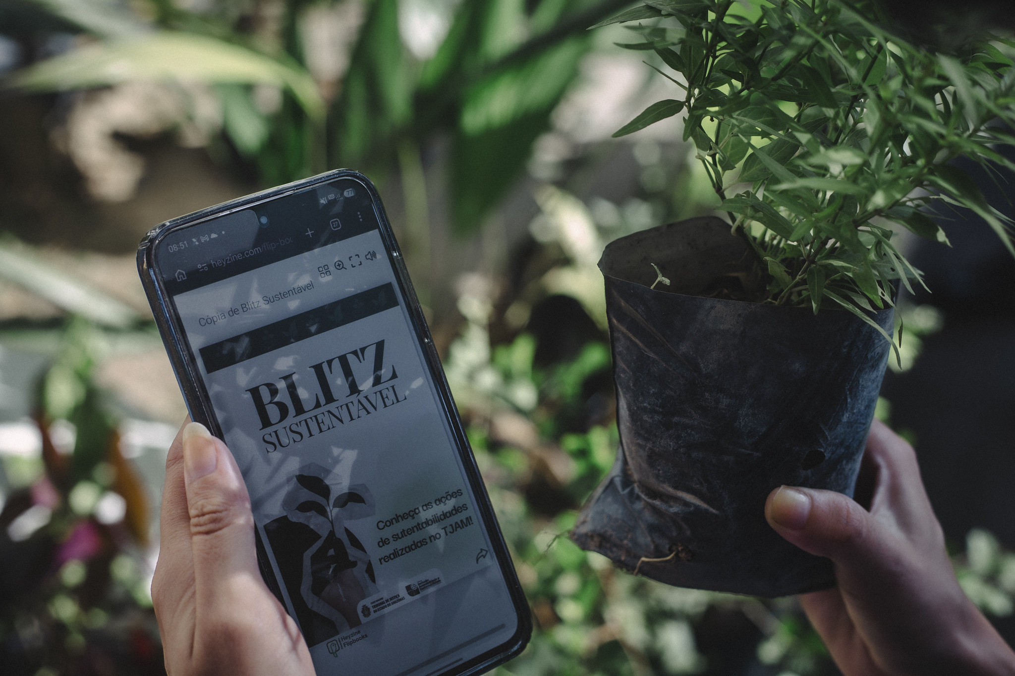 Blitz sustentabil