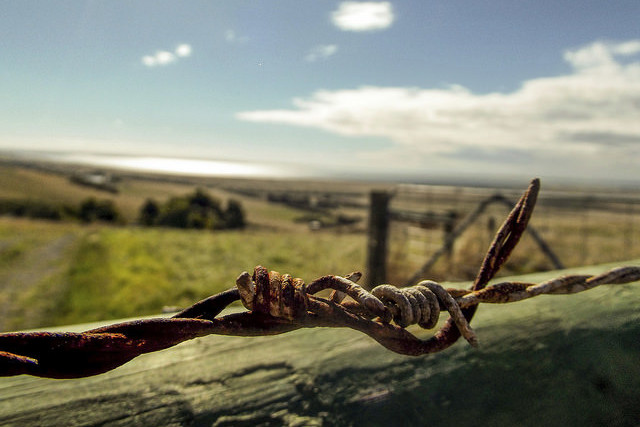 Imagem que retrata o campo com arame em destaque arquivo CNJ