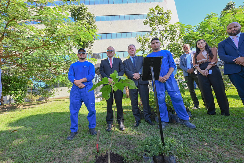 PLANTIO IPÊ 1