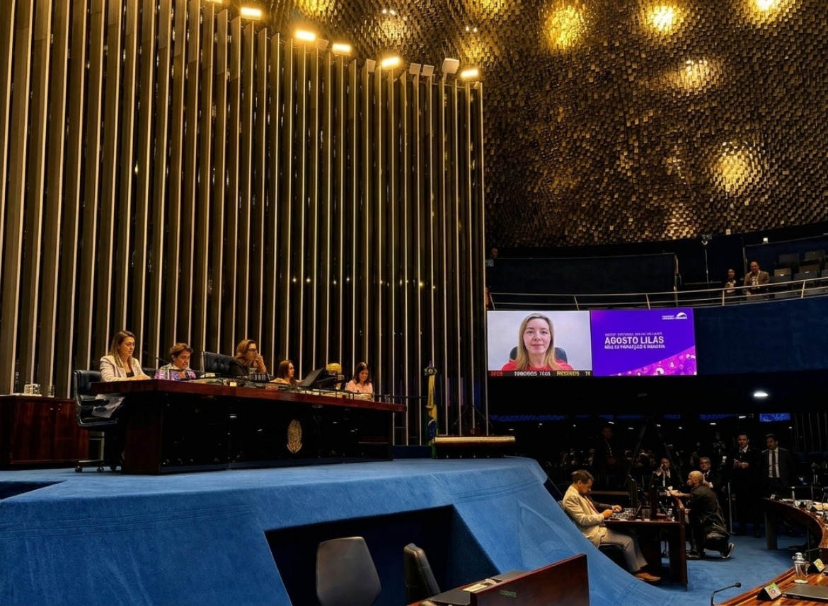 Servidora do TJAM representa a Corte em sessão do Senado sobre os 20 anos da Lei Maria da Penha