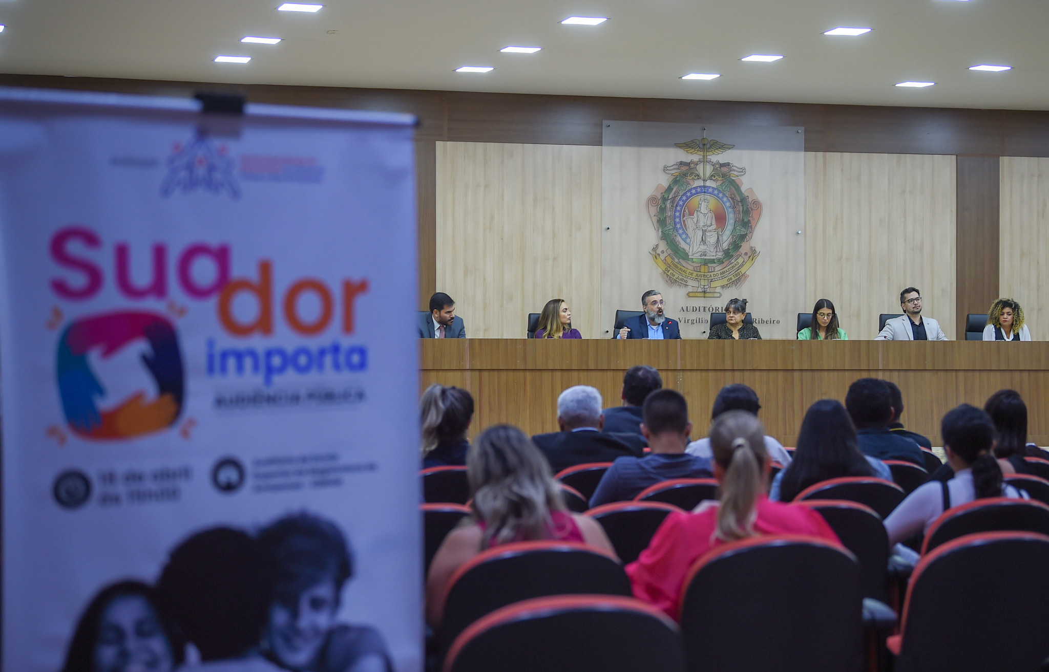 Audiência Pública Sua dor Importa