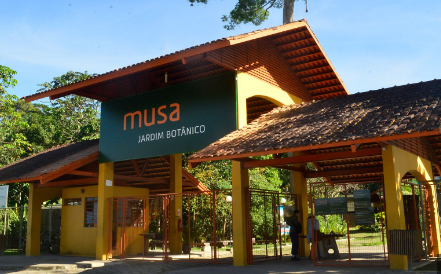 Imagem6