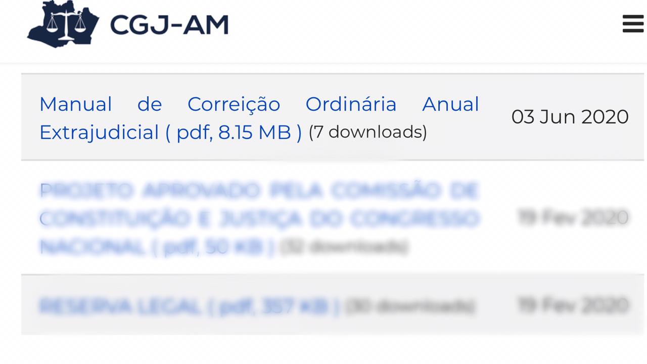 Manual Correição2
