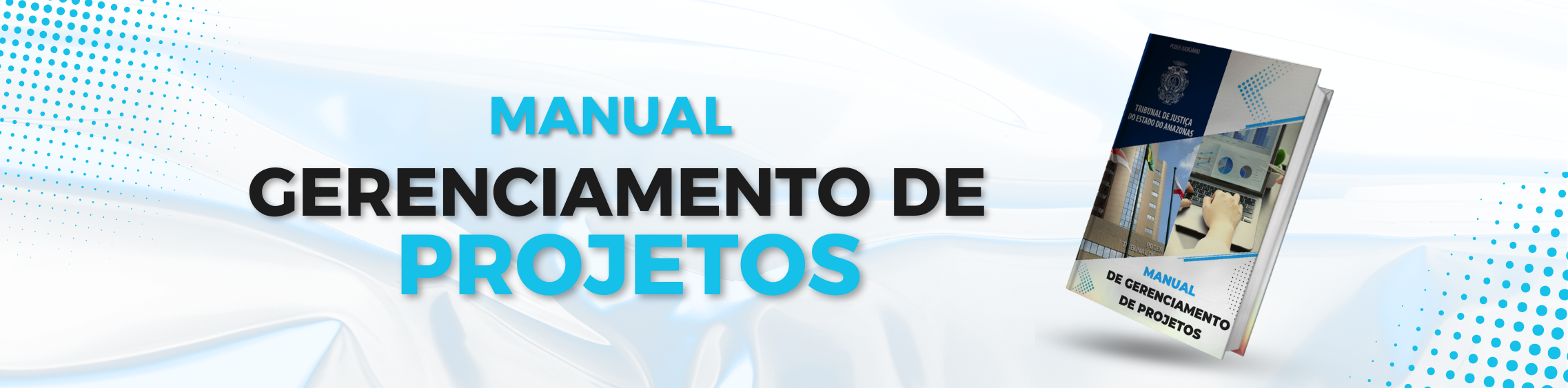 Manual_de_de_Gerencimento_de_Projetos.png