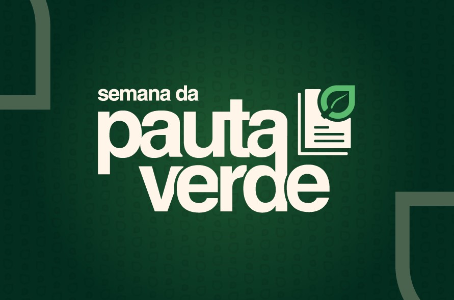 PAUTA VERDE