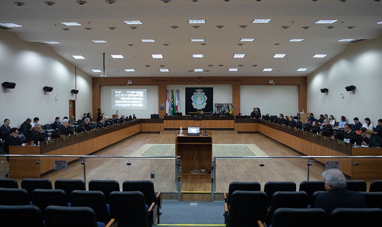 Pleno3110