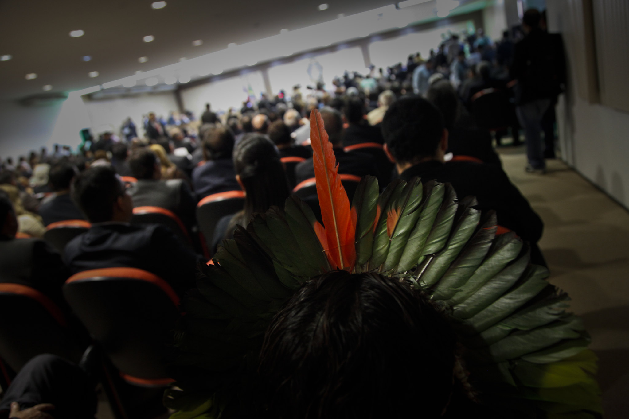 Povos Indigenas