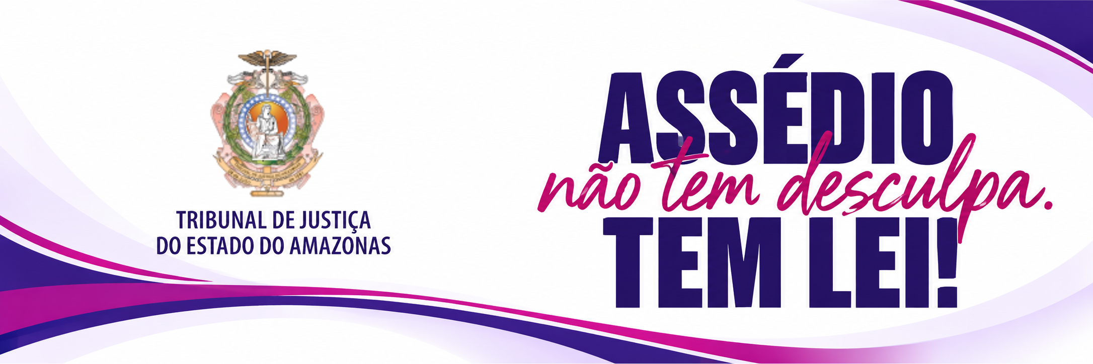 Banner institucional TJAM com brasão 1