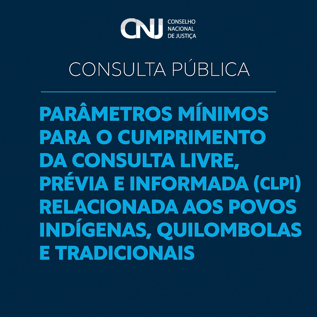 Consulta Pública 2025