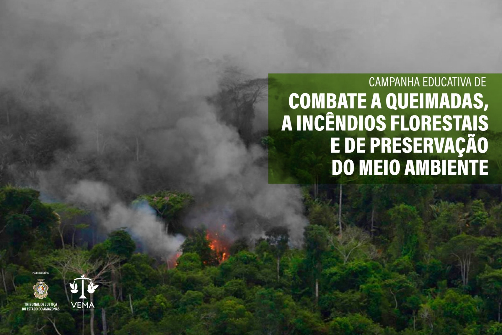 campanhaqueimadas