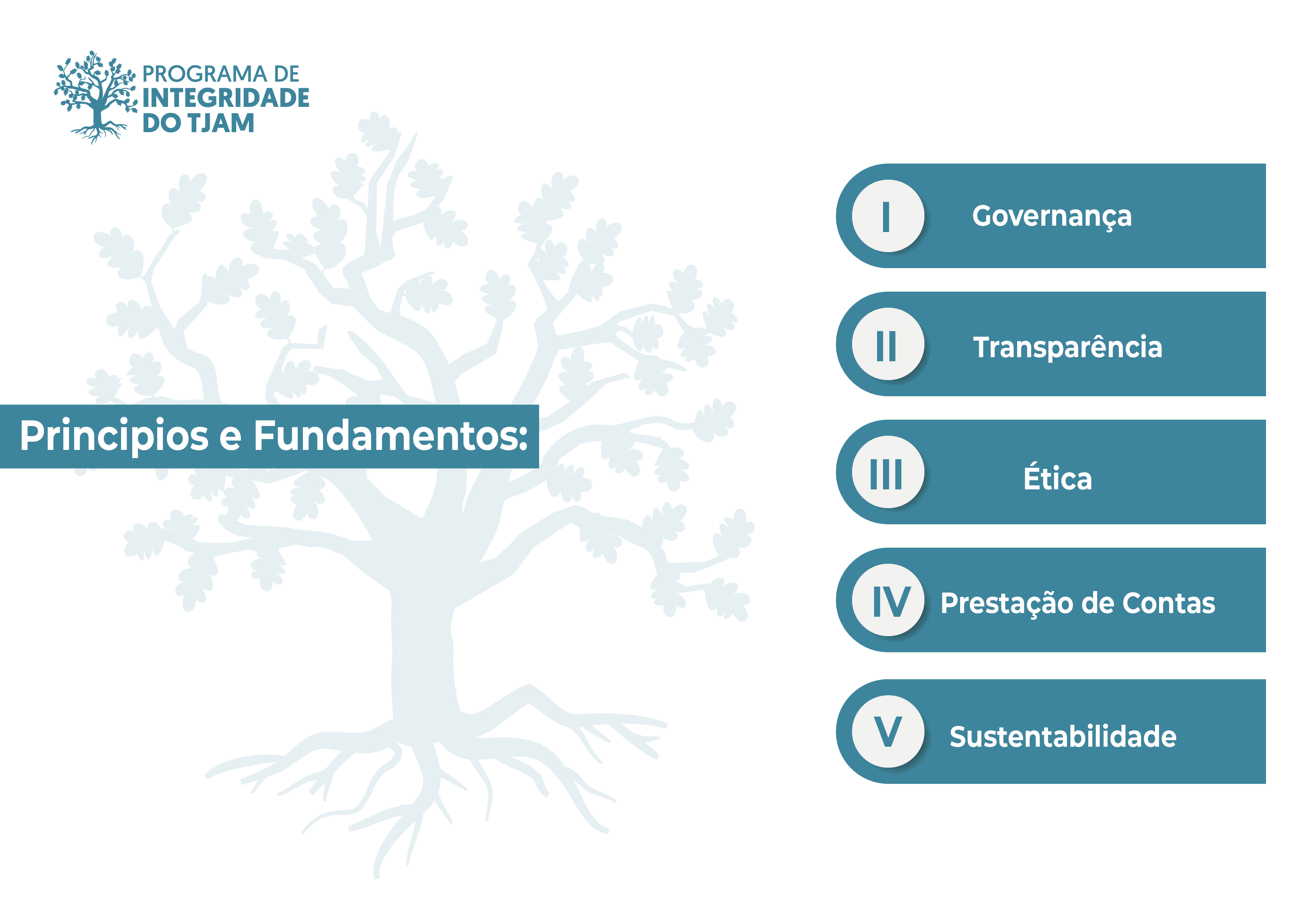 programaintegridadefluxograma Prancheta 1 cópia