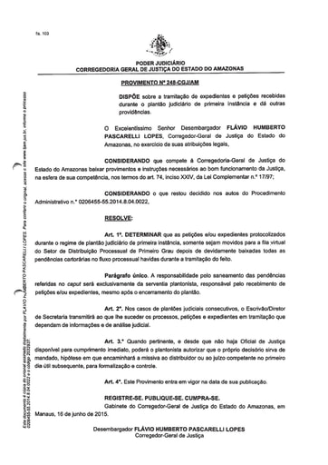 PROVIMENTO 248 - Dispõe sobre a tramitação de expedientes e petições recebidas durante o plantão judiciário de primeira instância