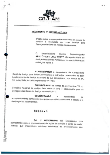 PROVIMENTO 307 - Dispõe sobre o acompanhamento dos processos de adoção e destituição do poder familiar pela CGJ/AM