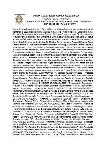 Ata da Sessão de 11.03.2025 (Virtual)