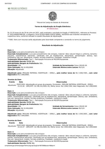 PREGÃO ELETRÔNICO Nº 035/2021 - TERMO DE ADJUDICAÇÃO