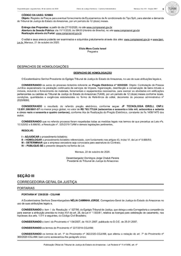 PREGÃO ELETRÔNICO Nº 020/2020 - DESPACHO DE HOMOLOGAÇÃO - DJE