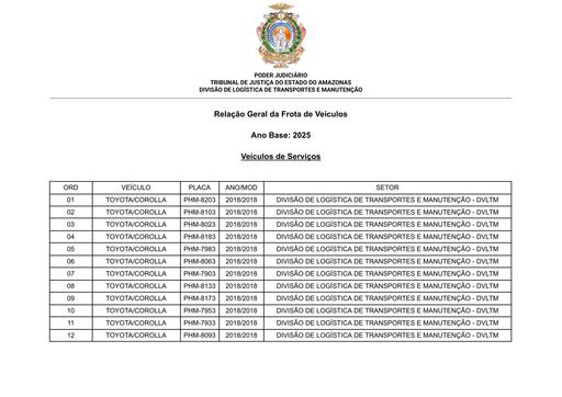 VEÍCULOS OFICIAIS DE SERVIÇO
