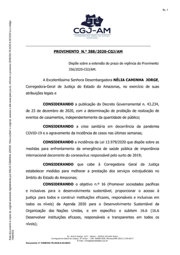 Provimento nº 388/2020-CGJ/AM (Dispõe sobre a extensão do prazo de vigência do Provimento 356/2020-CGJ/AM.)