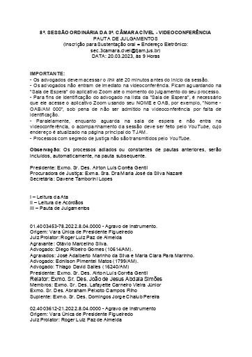 8a Sessão Ordinária da Terceira Câmara Cível - VIA VIDEOCONFERÊNCIA - Data: 20.03.2023 Hora: 09:00 Horas ( pdf, 160 KB )