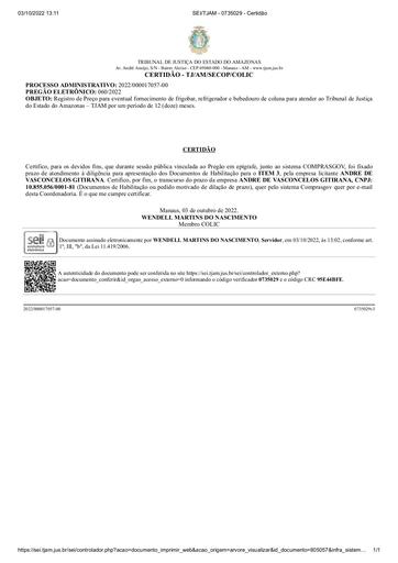 PREGÃO ELETRÔNICO Nº 060/2022 - CERTIDÃO - DECURSO DE PRAZO - ITEM 3 - ANDRE DE VASCONCELOS GITIRANA